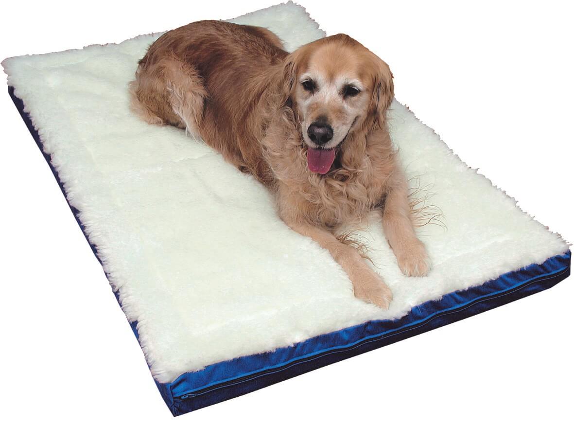 Magnetic Pet Bed Natural Therapy Pain Relief LGE-XL